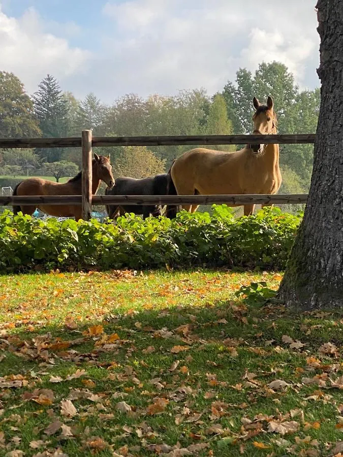 Privatunterkunft Herrenhaus - Starnberger See - Ammerland Münsing